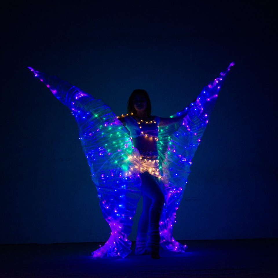 led-show