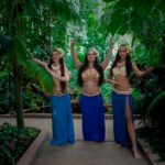 Hawaii Hula és Tahiti Tánc Show